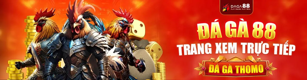 Hình ảnh hỗ trợ khách hàng code xin88