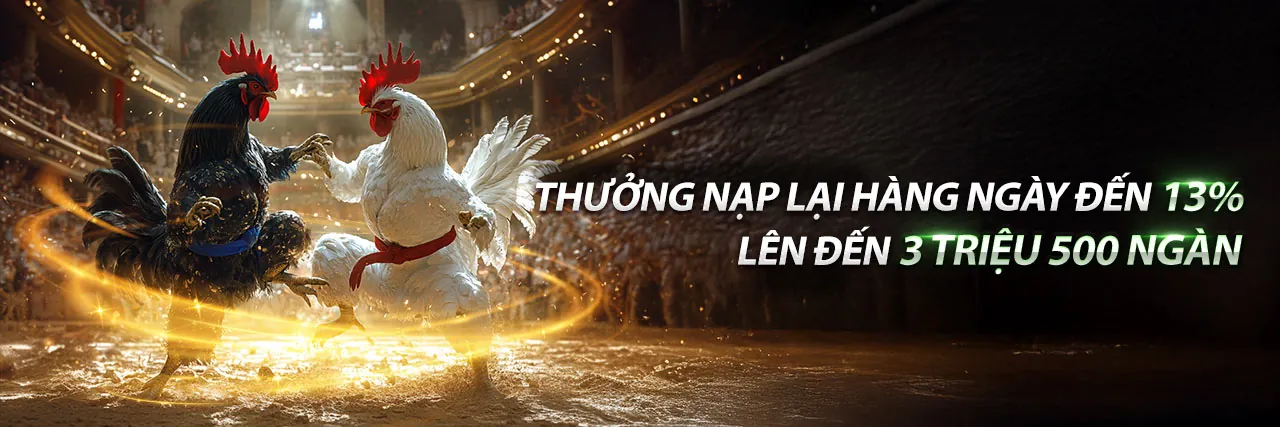 Đội ngũ hỗ trợ chuyên nghiệp của code xin88